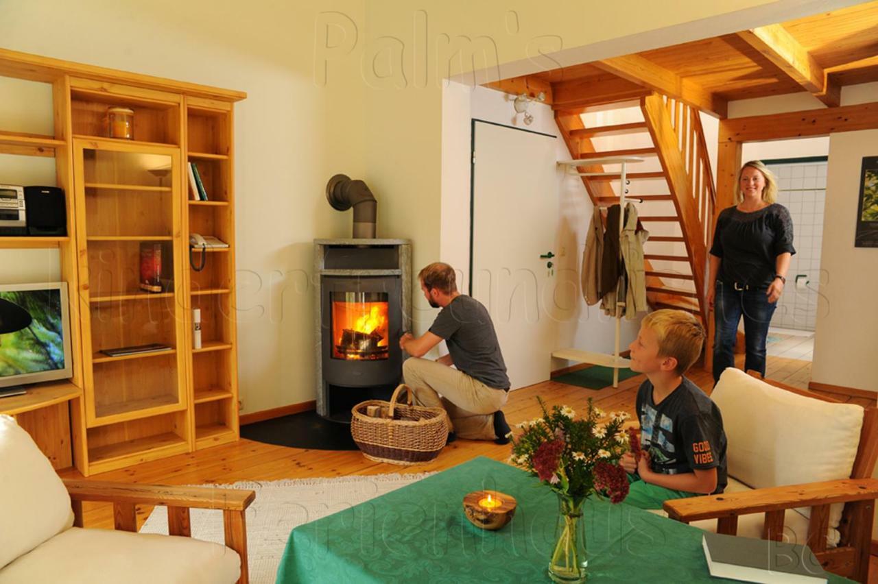 Palms Ferienhaus Klutz Kültér fotó